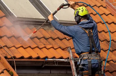 Démoussage et hydrofuge de toiture à Taintrux